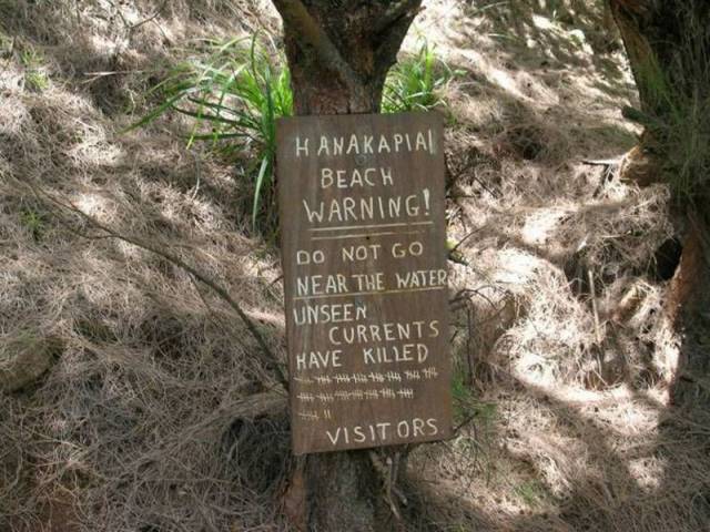 Daily Picdump Daily Picdump