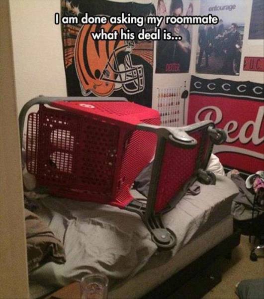 Daily Picdump Daily Picdump