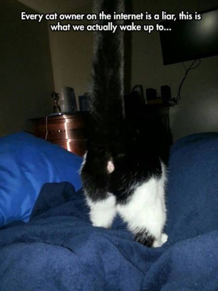 Daily Picdump Daily Picdump