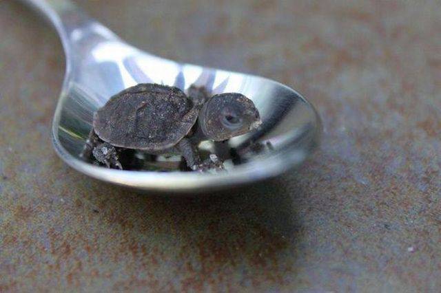 Daily Picdump Daily Picdump