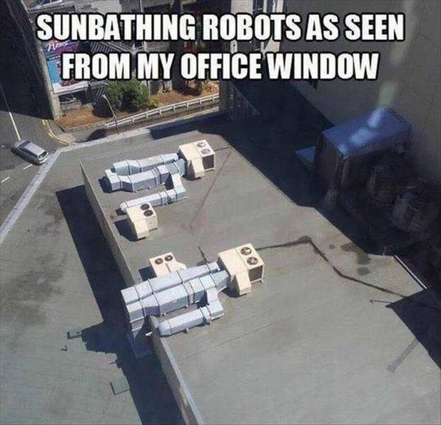 Daily Picdump Daily Picdump