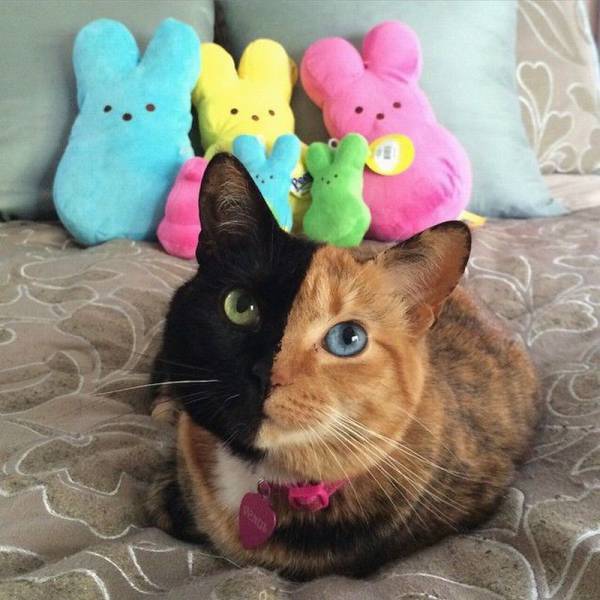 Daily Picdump Daily Picdump