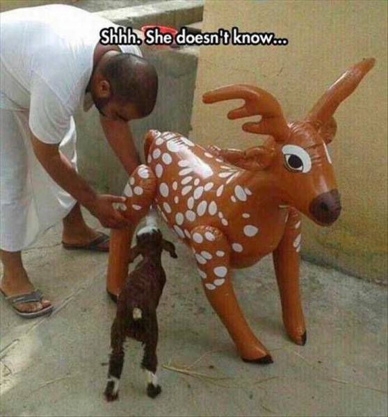 Daily Picdump Daily Picdump