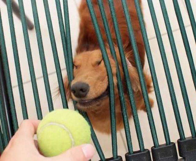 Daily Picdump Daily Picdump
