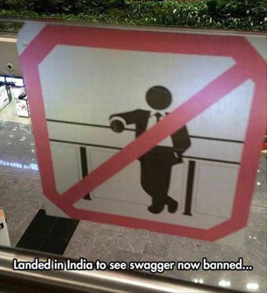 Daily Picdump Daily Picdump