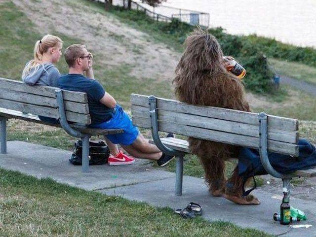 Daily Picdump Daily Picdump