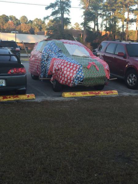 Daily Picdump Daily Picdump