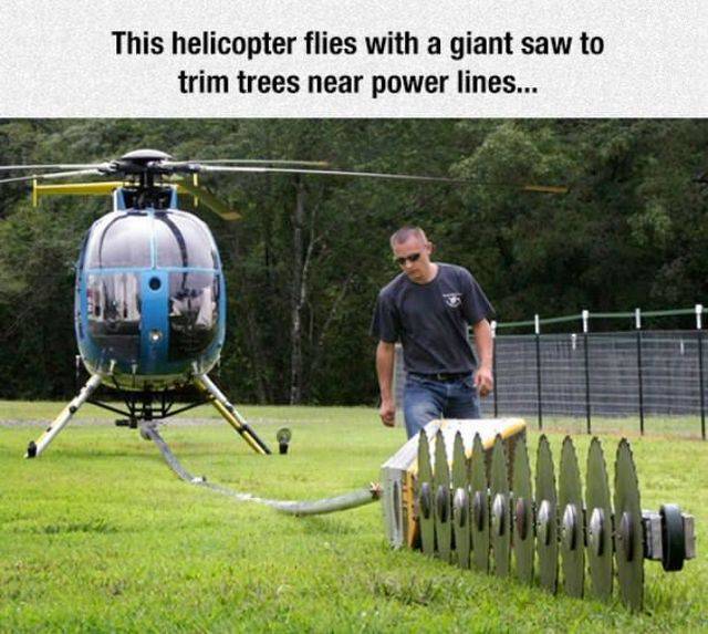 Daily Picdump Daily Picdump
