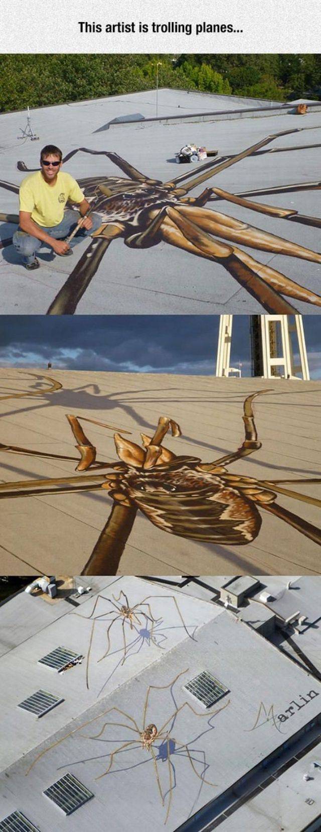 Daily Picdump Daily Picdump