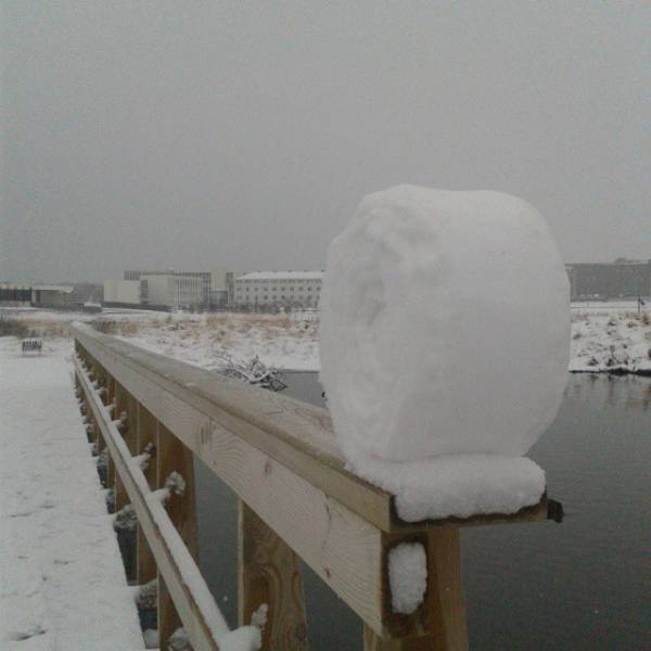 Morning Picdump Morning Picdump