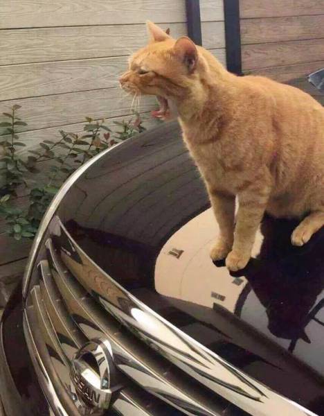Morning Picdump Morning Picdump
