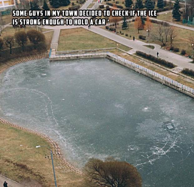 Morning Picdump Morning Picdump