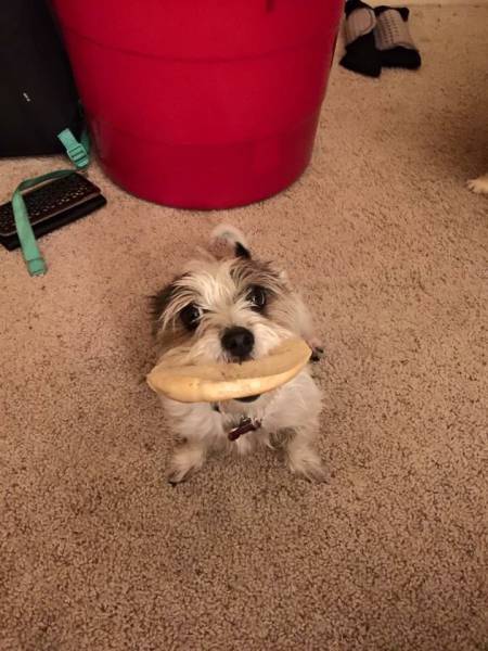 Morning Picdump Morning Picdump