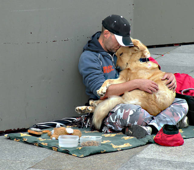 Dogs Don’t Care about Money, All They Need Is Love