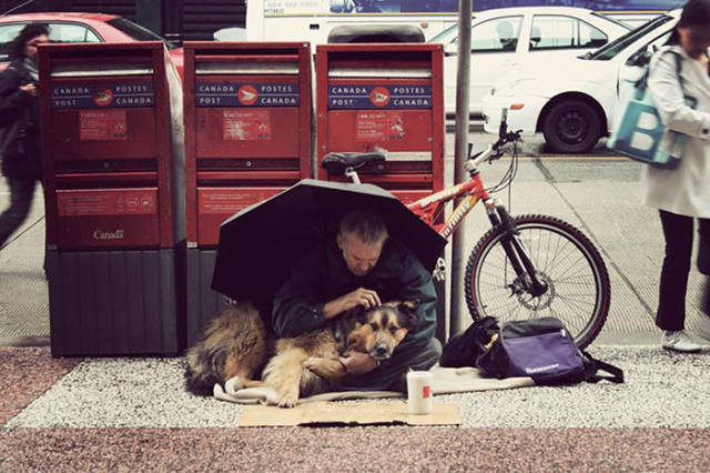 Dogs Don’t Care about Money, All They Need Is Love