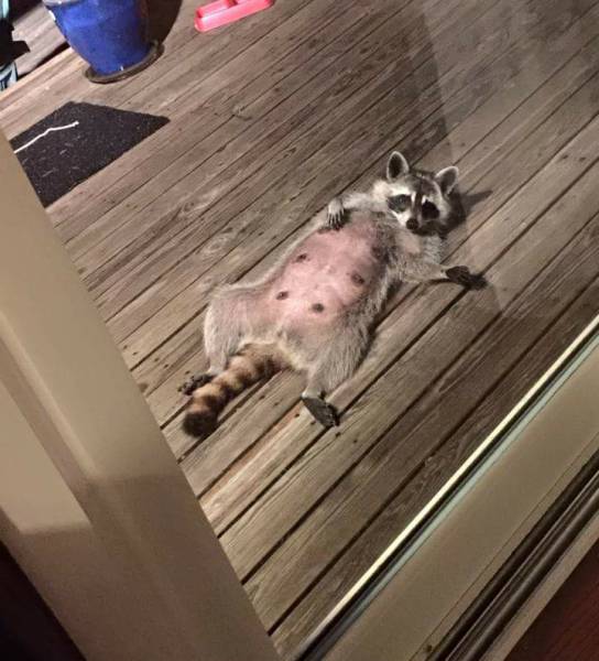 Morning Picdump Morning Picdump