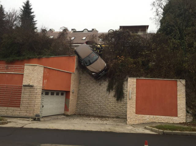 Morning Picdump Morning Picdump