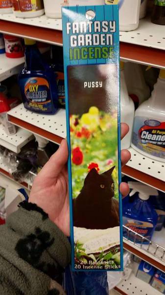 Morning Picdump Morning Picdump