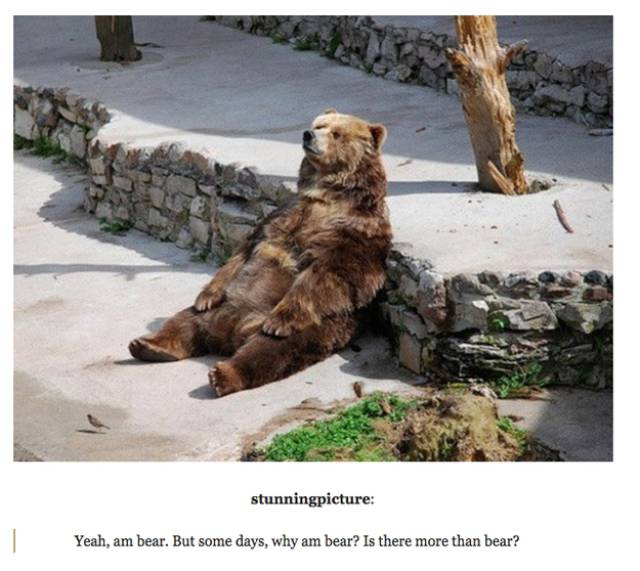 Amusing Tumblr Posts about Animals That Will Have You in Fits of Laughter