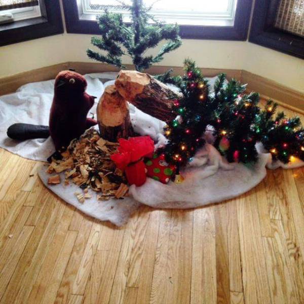 Morning Picdump Morning Picdump