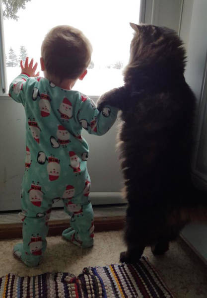 Morning Picdump Morning Picdump