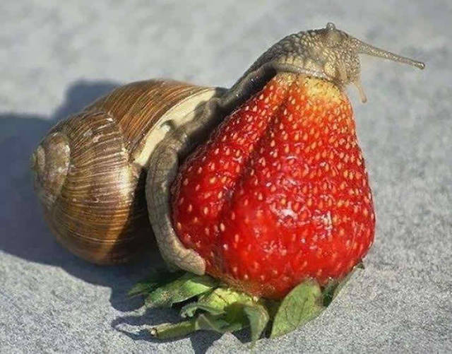 Morning Picdump Morning Picdump