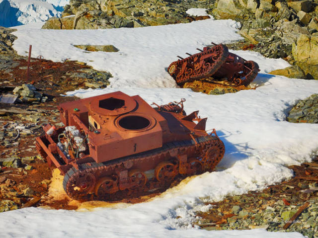 Neglected Army Tanks That Have Since Been Adopted by Nature
