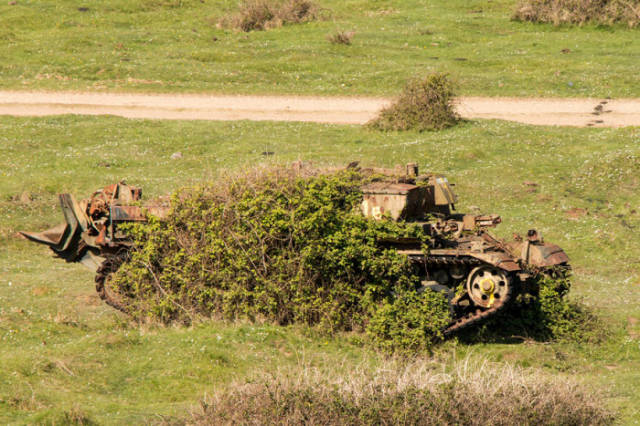 Neglected Army Tanks That Have Since Been Adopted by Nature