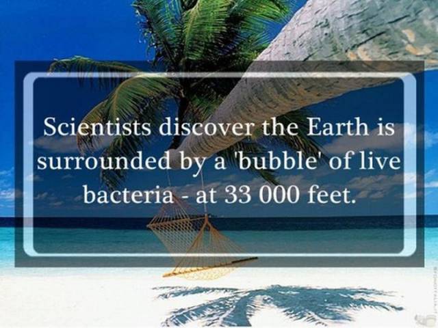 Awesome Scientific Facts That Will Make You Sound Pretty Brainy