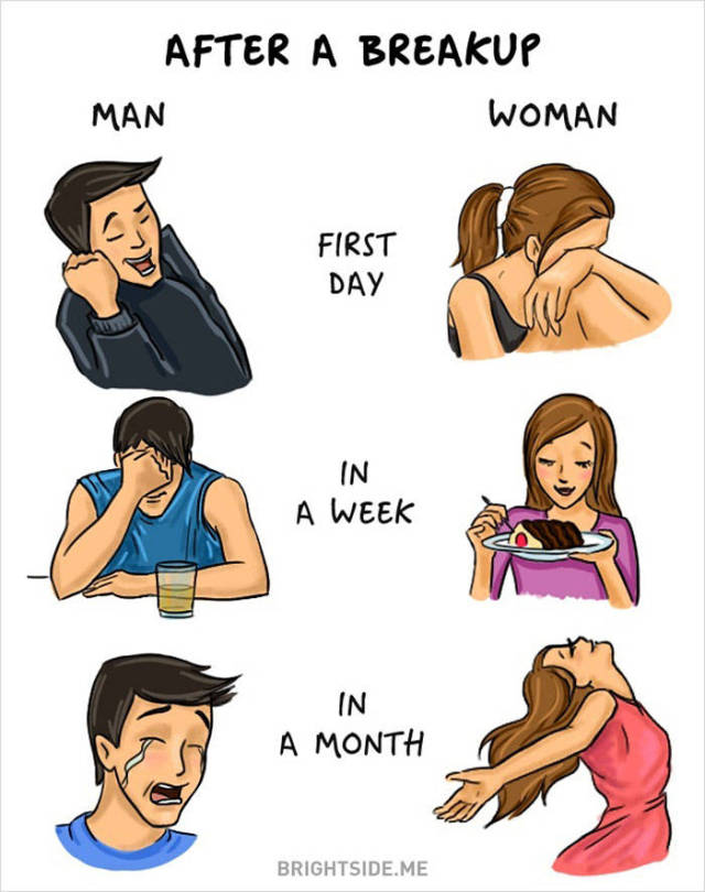 An Illustrated Guide to the Quirky Differences between Men and Women