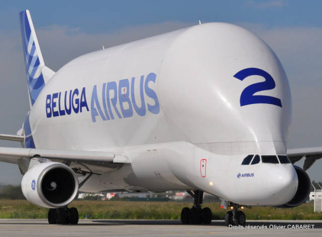 This Giant Aircraft Is the Airplane That Is Used to Transport Other Airplanes