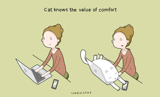 A Few Pluses to Having a Cat That Only Cat Owners Will Understand
