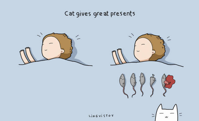 A Few Pluses to Having a Cat That Only Cat Owners Will Understand