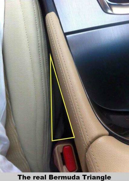 Daily Picdump Daily Picdump