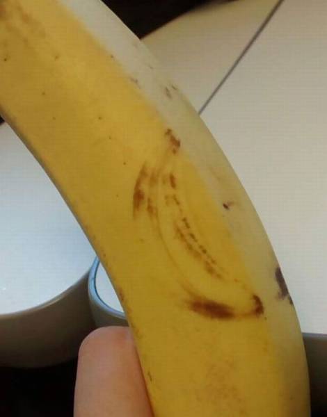 Daily Picdump Daily Picdump