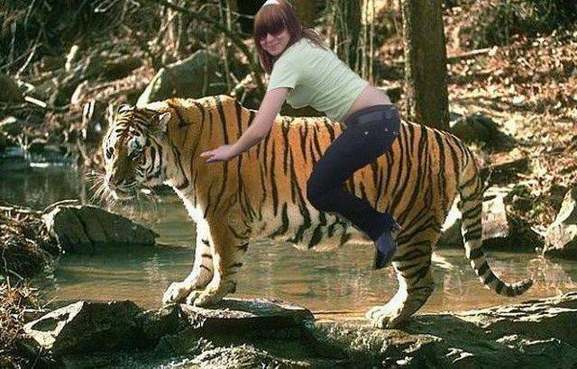 Daily Picdump Daily Picdump