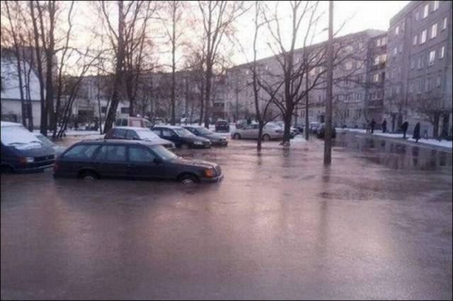 Daily Picdump Daily Picdump