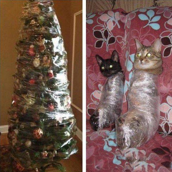 Daily Picdump Daily Picdump