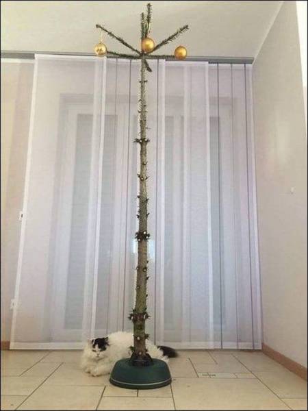 Daily Picdump Daily Picdump