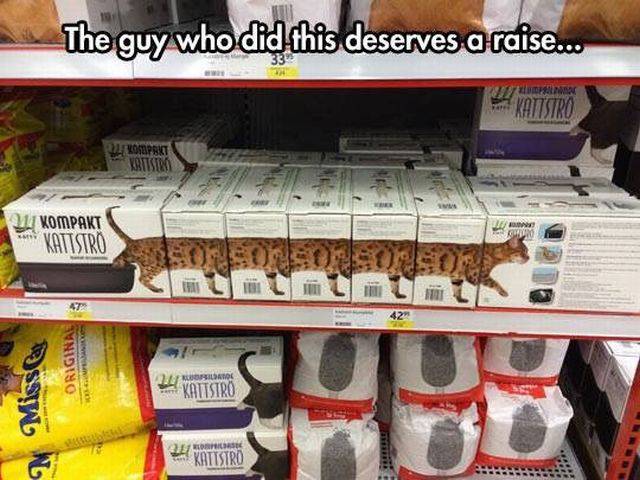 Daily Picdump Daily Picdump