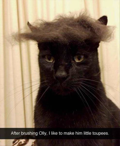 Daily Picdump Daily Picdump