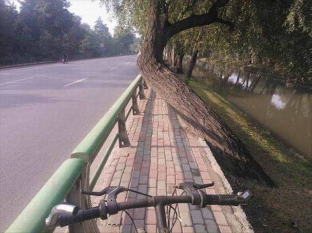 Daily Picdump Daily Picdump