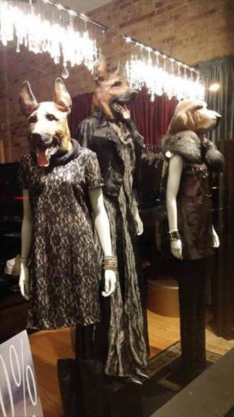 Daily Picdump Daily Picdump