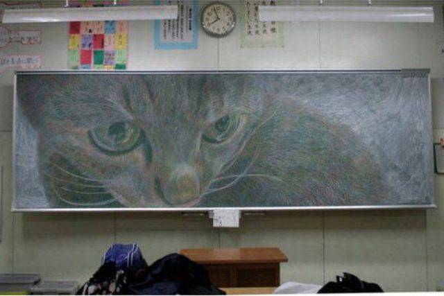 Daily Picdump Daily Picdump