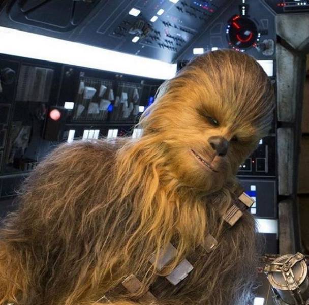 The Real Man Who Doubled as Chewbacca in the Remake of “Star Wars”