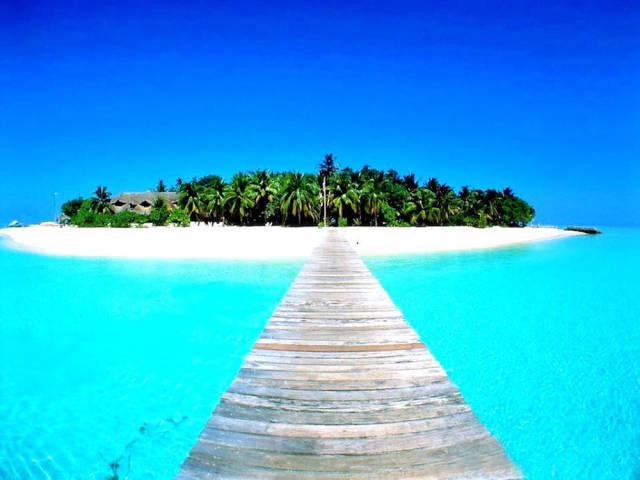 The Galapagos Islands Is the Ultimate Dream Holiday Destination The Galapagos Islands Is the Ultimate Dream Holiday Destination