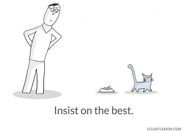 Surprising Life Lessons That You Can Actually Learn from Cats