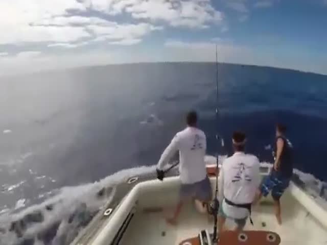 Lucky Fishermen Escapes A Near Death Experience With An Angry Marlin