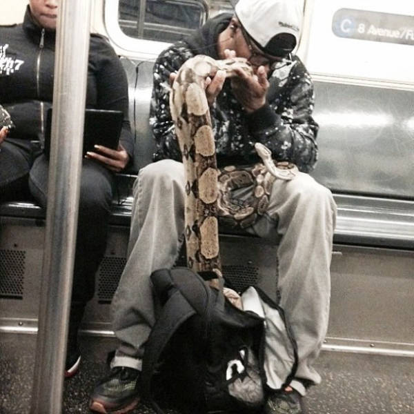 The Most Outlandish Things You Will Ever See on the NYC Subway