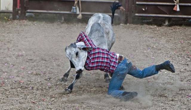 These Photos Will Make You Do a Double Take These Photos Will Make You Do a Double Take